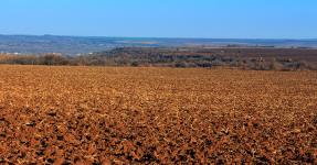 Meebhoomi: Search Adangal, 1B (AP Land Records), Map @ Meebhoomi.ap.gov.in