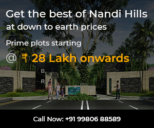 NBR Hills View