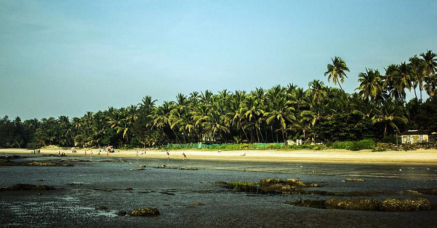 Luxury Beachside Home in Alibaug Sells For a Whopping INR 80 Cr, Real Estate Prices in Alibaug Have Increased Post Pandemic