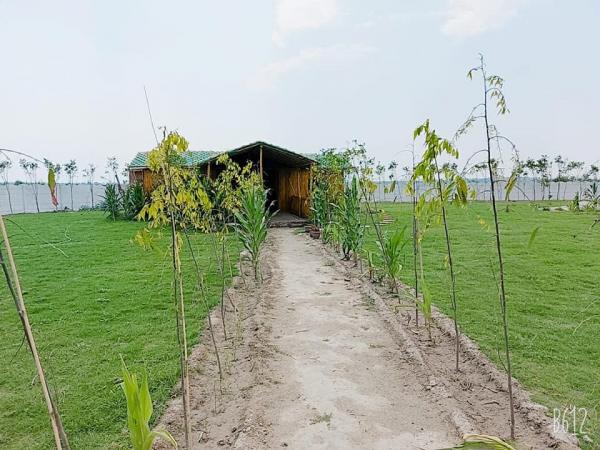 2 BHK Farm House for Sale of Plot 1200 Sq.Yard in Sainik Farms Sector 150 Noida by Akhilesh Chauhan 2 BHK Farm House for Sale of Plot 1200 Sq.Yard in Sainik Farms Sector 150 Noida by Akhilesh Chauhan