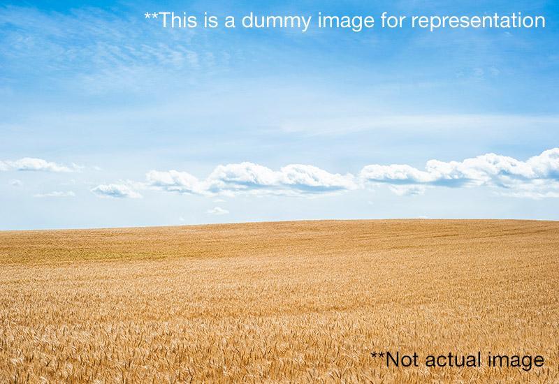 Plot 8.61 Acre Agricultural Land for Sale in Nandyal Highway Rd Kurnool by Narayana Reddy Koppula Plot 8.61 Acre Agricultural Land for Sale in Nandyal Highway Rd Kurnool by Narayana Reddy Koppula