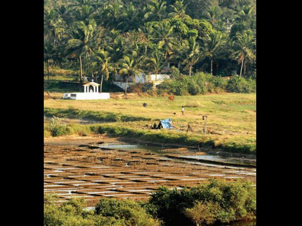 Residential Plot for Sale of Plot 1100 Sq.Meter in Assagao North Goa by Goa Property Search Residential Plot for Sale of Plot 1100 Sq.Meter in Assagao North Goa by Goa Property Search