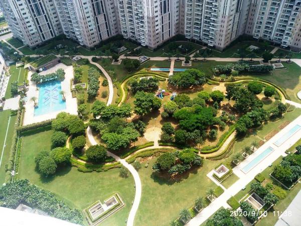 3 BHK Flat for Rent of Super Built-up 2283 Sq.ft in DLF Park Place Sector54 Gurgaon by Jiten 3 BHK Flat for Rent of Super Built-up 2283 Sq.ft in DLF Park Place Sector54 Gurgaon by Jiten