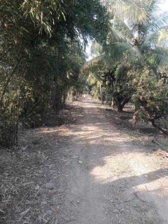 Built-up 2887 Sq.Meter Agricultural Land for Sale in Abrama Valsad by Namrata Desai Built-up 2887 Sq.Meter Agricultural Land for Sale in Abrama Valsad by Namrata Desai