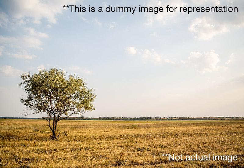 Residential Plot for Sale of Plot 1350 Sq.ft in Agami Properties Naubatpur Patna by Rohit Verma Residential Plot for Sale of Plot 1350 Sq.ft in Agami Properties Naubatpur Patna by Rohit Verma