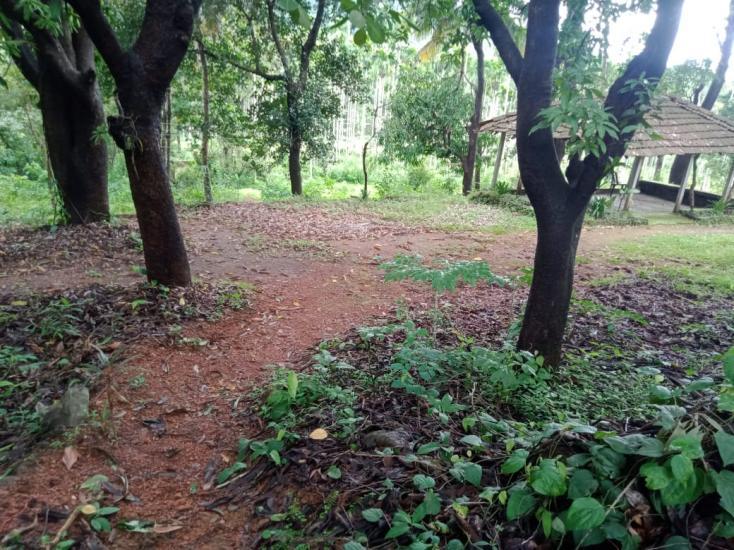 Residential Plot for Sale of Plot 83000 Sq.Meter in Margao South Goa by Rajesh Mishra Residential Plot for Sale of Plot 83000 Sq.Meter in Margao South Goa by Rajesh Mishra