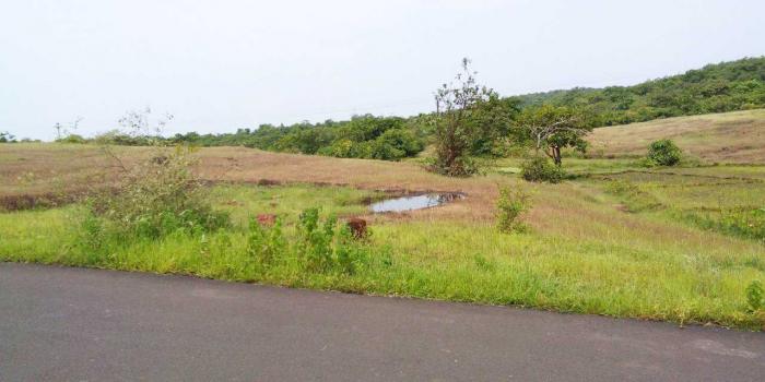 Residential Plot for Sale of Built-up 91483 Sq.ft in Ganpati Pule Ratnagiri by Prajakt Residential Plot for Sale of Built-up 91483 Sq.ft in Ganpati Pule Ratnagiri by Prajakt