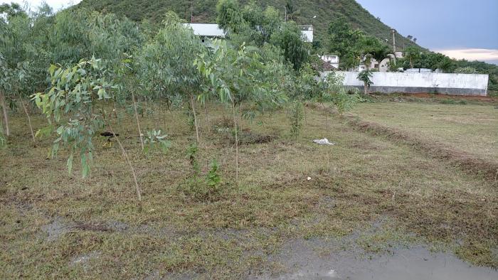 Residential Plot for Sale of Built-up 7000 Sq.ft in Pendurthi Visakhapatnam by Mastan Shaik Residential Plot for Sale of Built-up 7000 Sq.ft in Pendurthi Visakhapatnam by Mastan Shaik