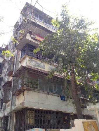 1 RK Flat for Sale of Built-up 500 Sq.ft in Ambe Ashish Mulund West Mumbai by Sudhir Bhanushali 1 RK Flat for Sale of Built-up 500 Sq.ft in Ambe Ashish Mulund West Mumbai by Sudhir Bhanushali