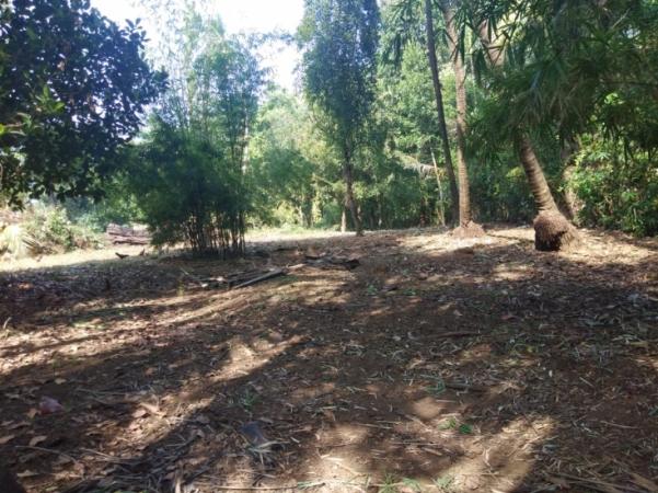Residential Plot for Sale of Built-up 33 Guntha in Alibag Raigad by Suhas Residential Plot for Sale of Built-up 33 Guntha in Alibag Raigad by Suhas