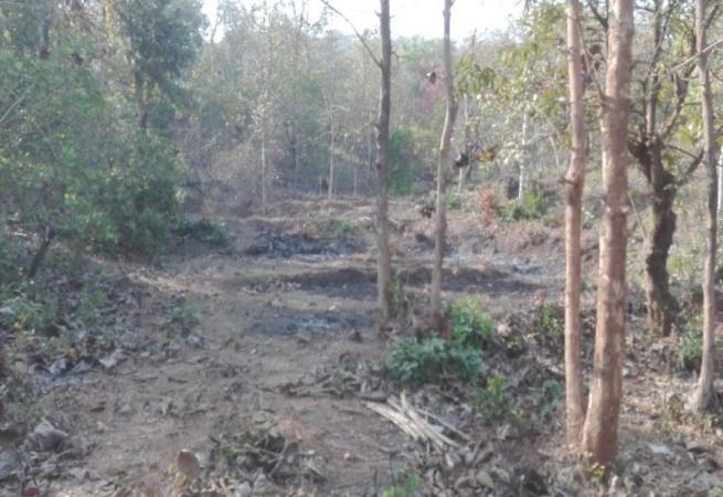 Residential Plot for Sale of Built-up 40000 Sq.Meter in Canacona South Goa by Anthony Lobo Residential Plot for Sale of Built-up 40000 Sq.Meter in Canacona South Goa by Anthony Lobo