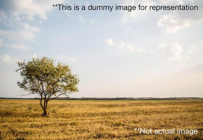 Residential Plot for Sale in Khopoli Raigad by Diana Dislava Residential Plot for Sale in Khopoli Raigad by Diana Dislava