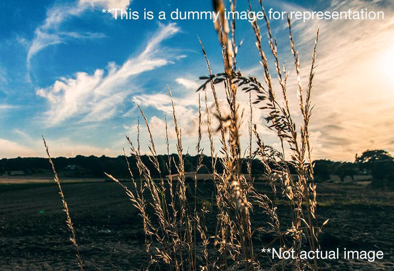 Residential Plot for Sale of Built-up 8 Acre in Roha Raigad by Deepak Singh Rajput Residential Plot for Sale of Built-up 8 Acre in Roha Raigad by Deepak Singh Rajput