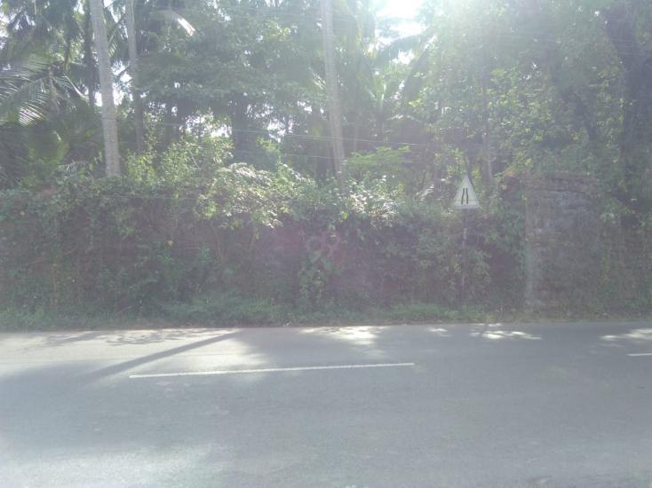 Built-up 1525 Sq.ft Commercial Plot for Sale in Ribandar North Goa by Anthony Lobo Built-up 1525 Sq.ft Commercial Plot for Sale in Ribandar North Goa by Anthony Lobo