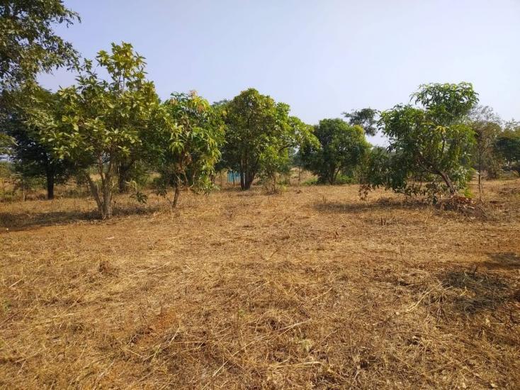 Residential Plot for Sale of Built-up 2000 Sq.ft in Dreams Valley Karjat Thane by Taruna Ghosh Residential Plot for Sale of Built-up 2000 Sq.ft in Dreams Valley Karjat Thane by Taruna Ghosh