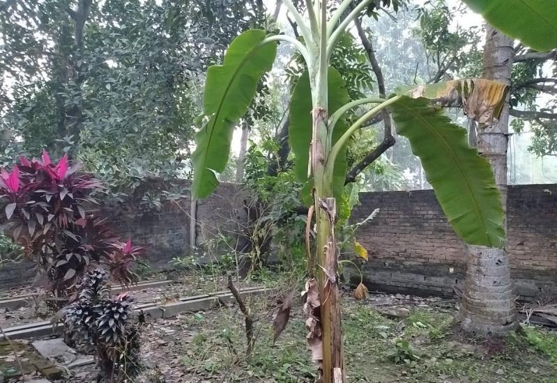 Residential Plot for Sale of Built-up 1500 Sq.ft in Rajarhat Kolkata by Dibendu Chakraborty Residential Plot for Sale of Built-up 1500 Sq.ft in Rajarhat Kolkata by Dibendu Chakraborty