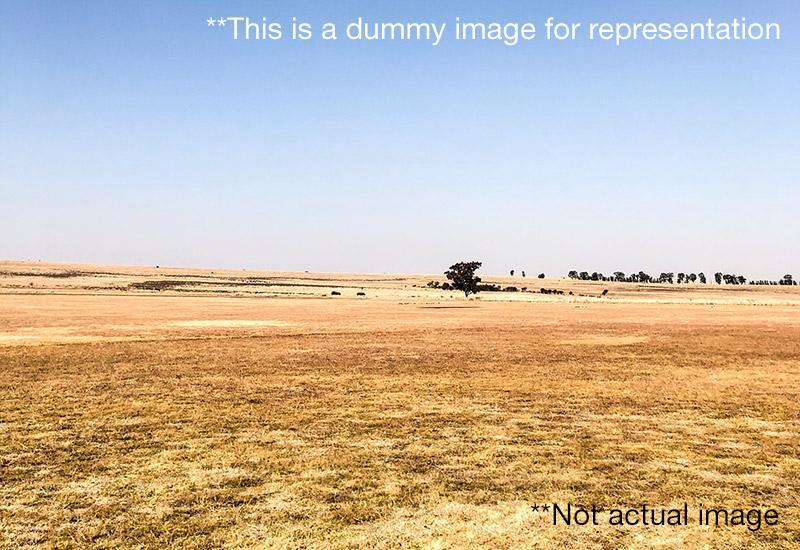 Other Residential Plot for Sale of Plot 1500 Sq.ft in Suriya Nagar Shambavi Nagar Dharwad by Rahul Shinde Other Residential Plot for Sale of Plot 1500 Sq.ft in Suriya Nagar Shambavi Nagar Dharwad by Rahul Shinde