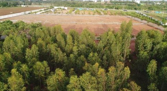 Residential Plot for Sale of Plot 1500 Sq.ft in Vensai Temple Tree Anekal Bangalore by Chithravensaiinfra Residential Plot for Sale of Plot 1500 Sq.ft in Vensai Temple Tree Anekal Bangalore by Chithravensaiinfra