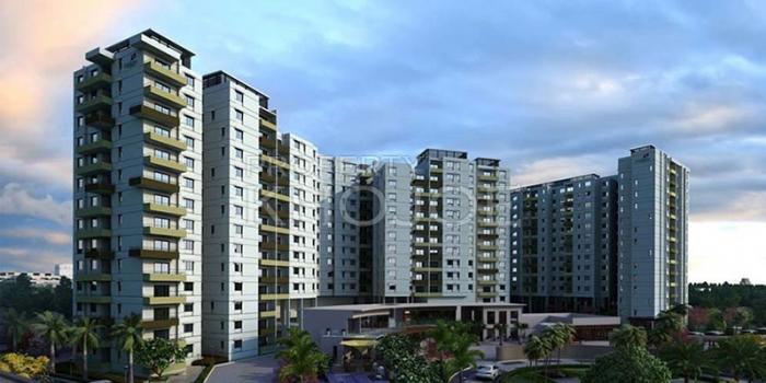 Century Breeze Century Breeze