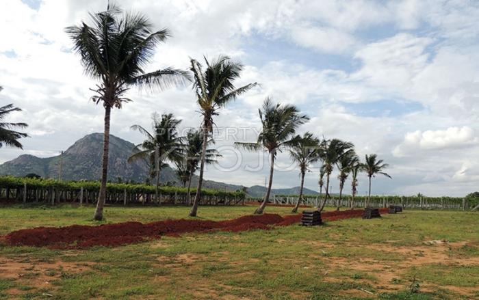 Prashanthi County Bangalore Prashanthi County Bangalore