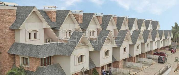Citrus Springville Bangalore