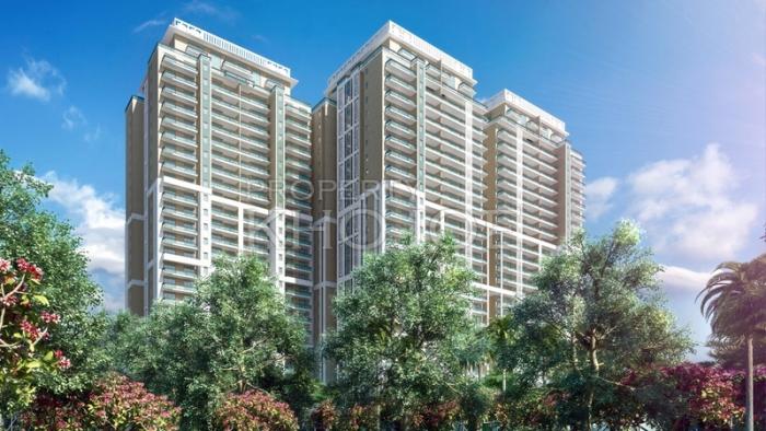 DLF The Crest Gurgaon DLF The Crest Gurgaon