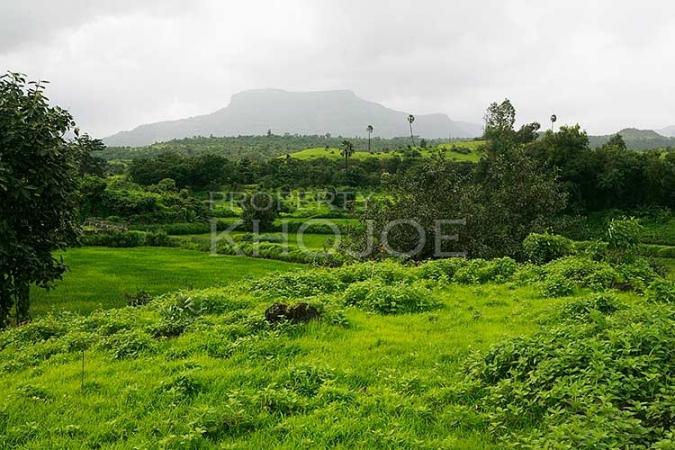 Reddy Farm Land Karjat