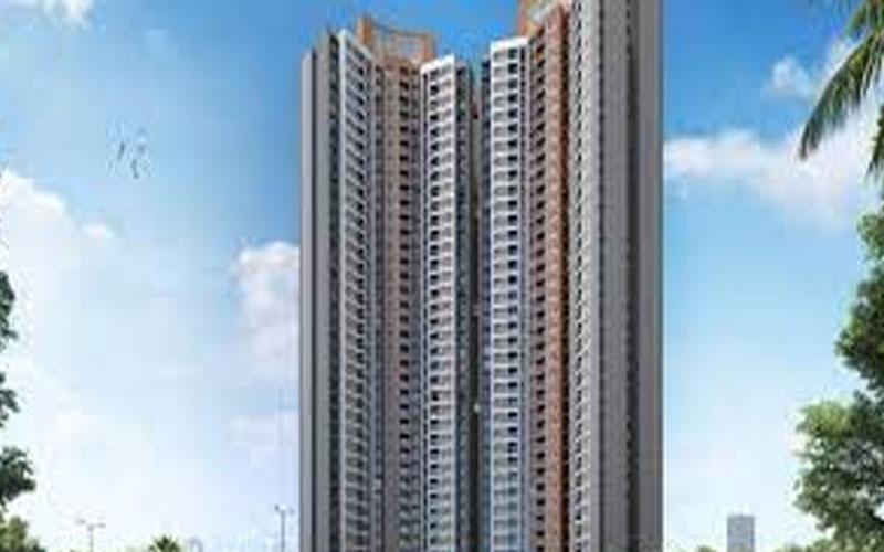 Lodha Codename Limited Edition Lodha Codename Limited Edition