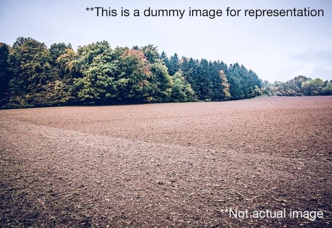 Open Plot for Sale