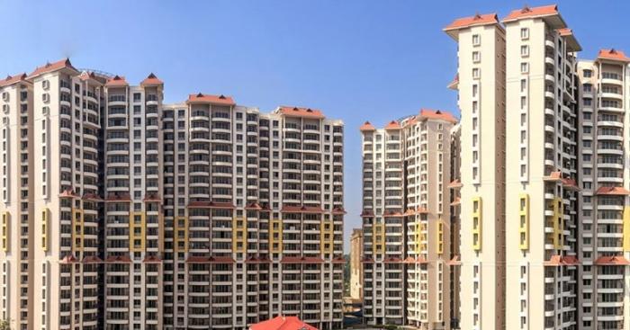 Purva Eternity